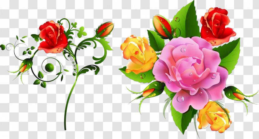 Clip Art Floral Design Flower Borders And Frames - Flowering Plant - Rose Family Transparent PNG