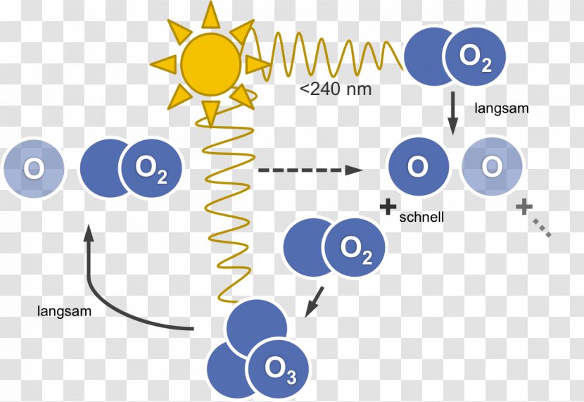 Ozone–oxygen Cycle Ultraviolet Oxidizing Agent - Brand - Natura Co Transparent PNG