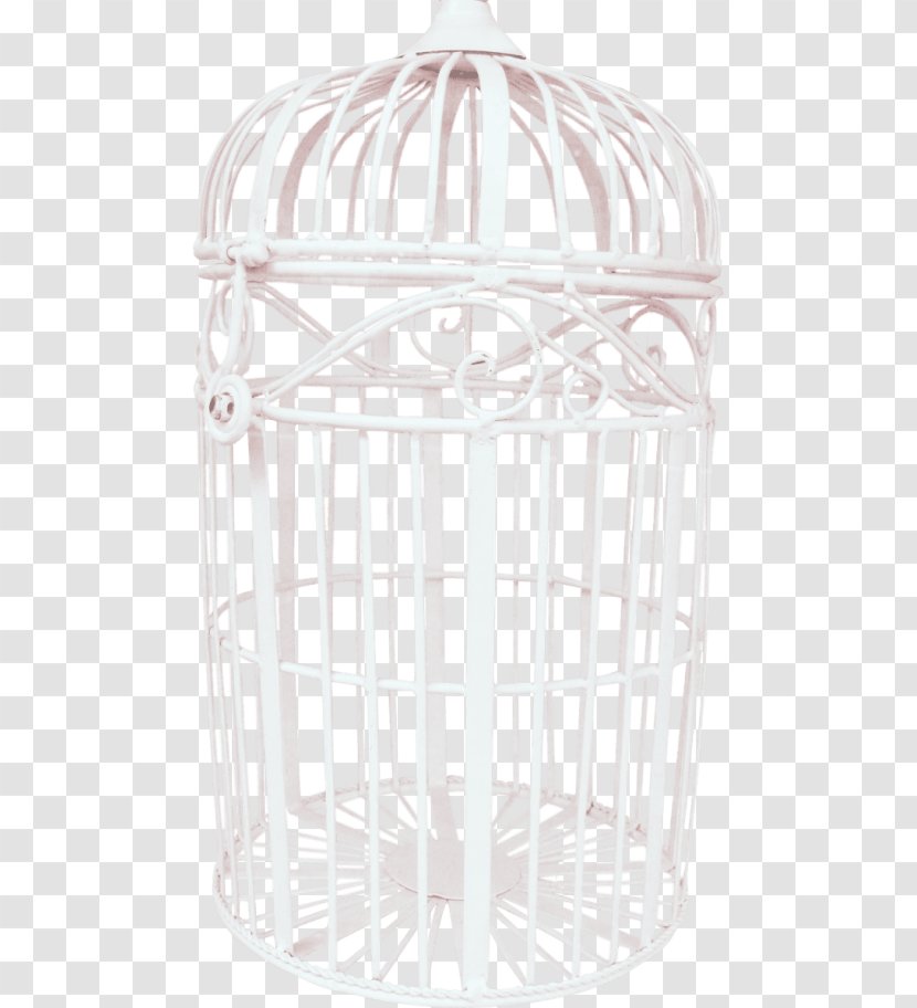 Birdcage Image - Wire - Bird Transparent PNG