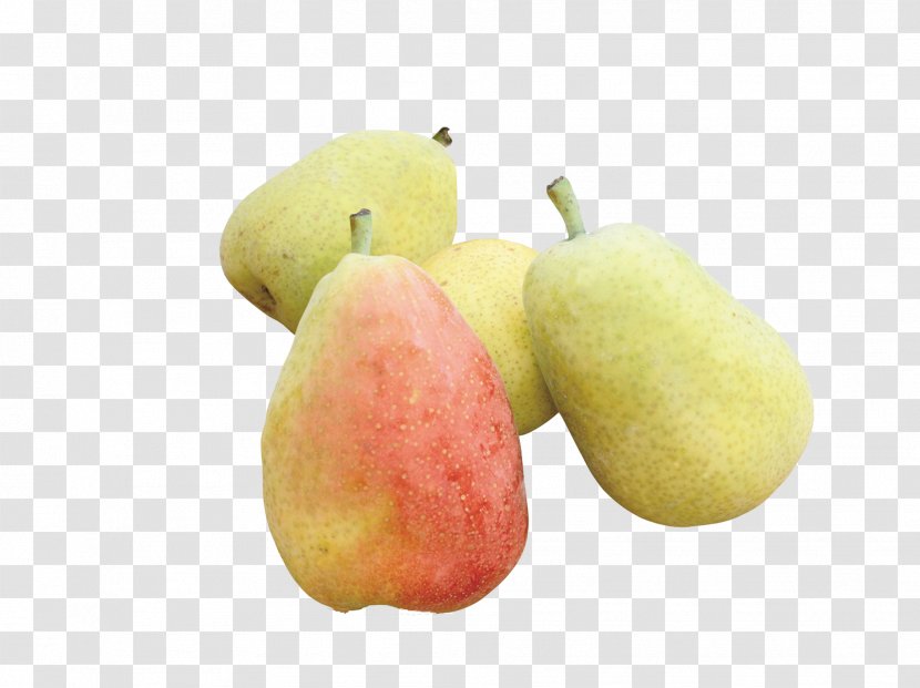 Pyrus Nivalis Xd7 Bretschneideri Amygdaloideae Fruit - Delicious Pears Transparent PNG