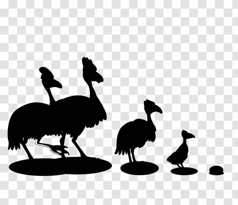 Common Ostrich Emu Clip Art Fauna Beak - Organism - Wildlife Transparent PNG