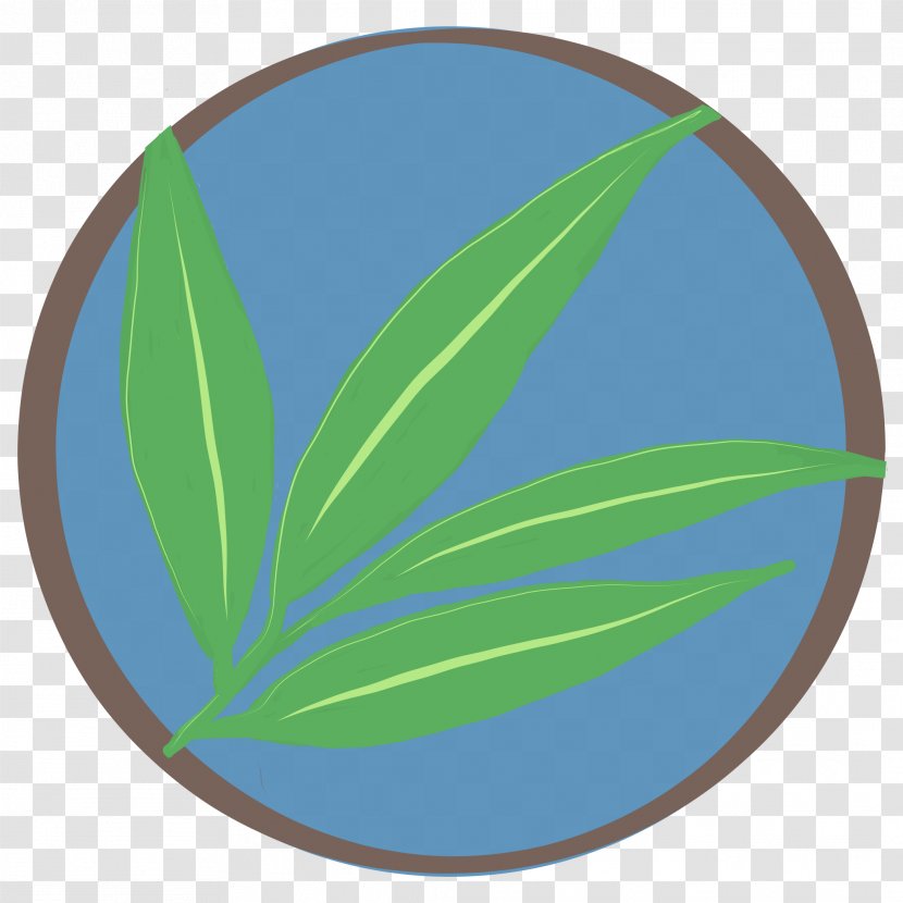 Green Grass Background - Leaf - Eucalyptus Dishware Transparent PNG