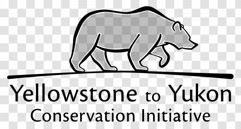 Yellowstone National Park To Yukon Conservation Initiative Jackson Hole - United States - Democracy Transparent PNG