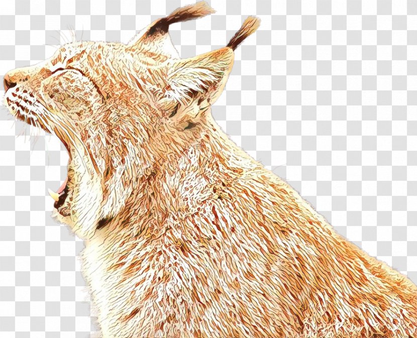 Cartoon Cat - Jackal - Wildlife Goats Transparent PNG