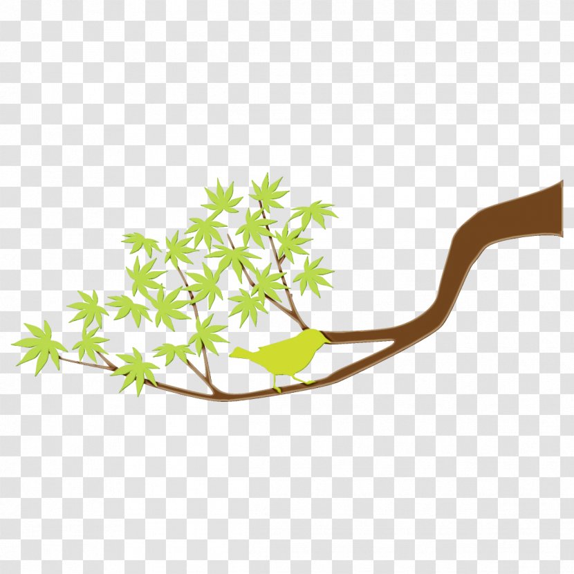 Leaf Plant Branch Tree Flower - Perennial Transparent PNG