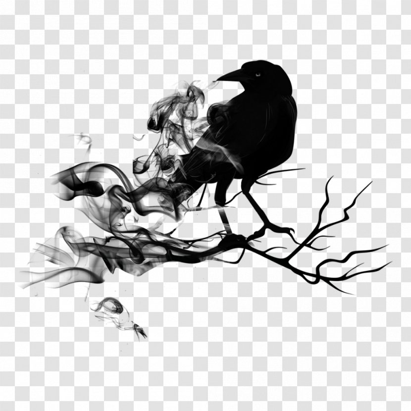 Common Raven Bird Crow Clip Art Transparent PNG