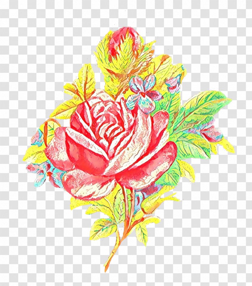 Garden Roses Cabbage Rose Cut Flowers Floral Design Transparent PNG