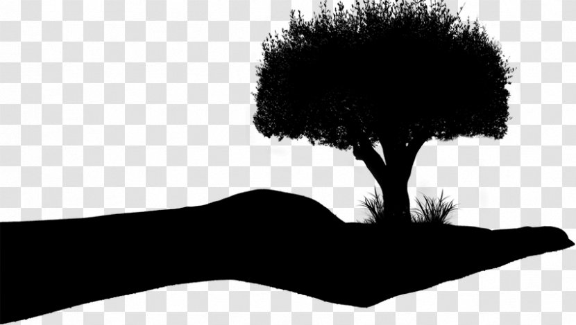 Silhouette Drawing Art Photography Majin Buu - Tree - Vegeta Transparent PNG