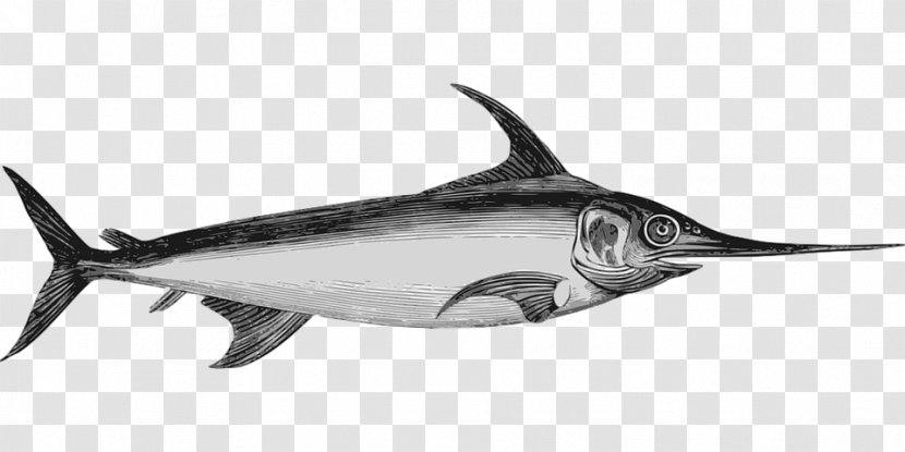 Swordfish Marlin Clip Art - Marine Mammal - Fish Transparent PNG