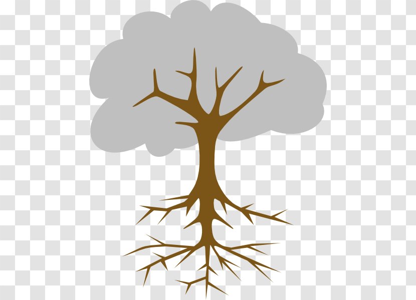 Root Cause Analysis Tree Branch - Symbol Transparent PNG