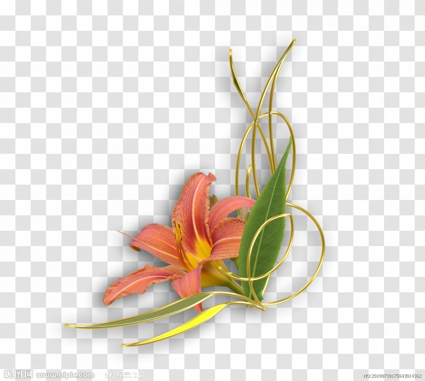 .de Flower Still Life Photography - Lily - Portrait Transparent PNG