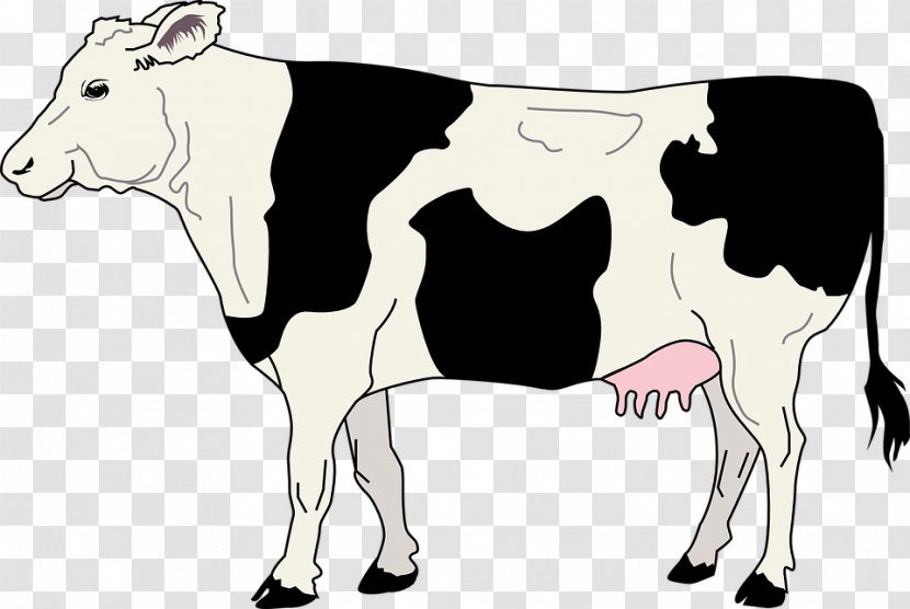 Hereford Cattle Bull Calf Clip Art Transparent PNG