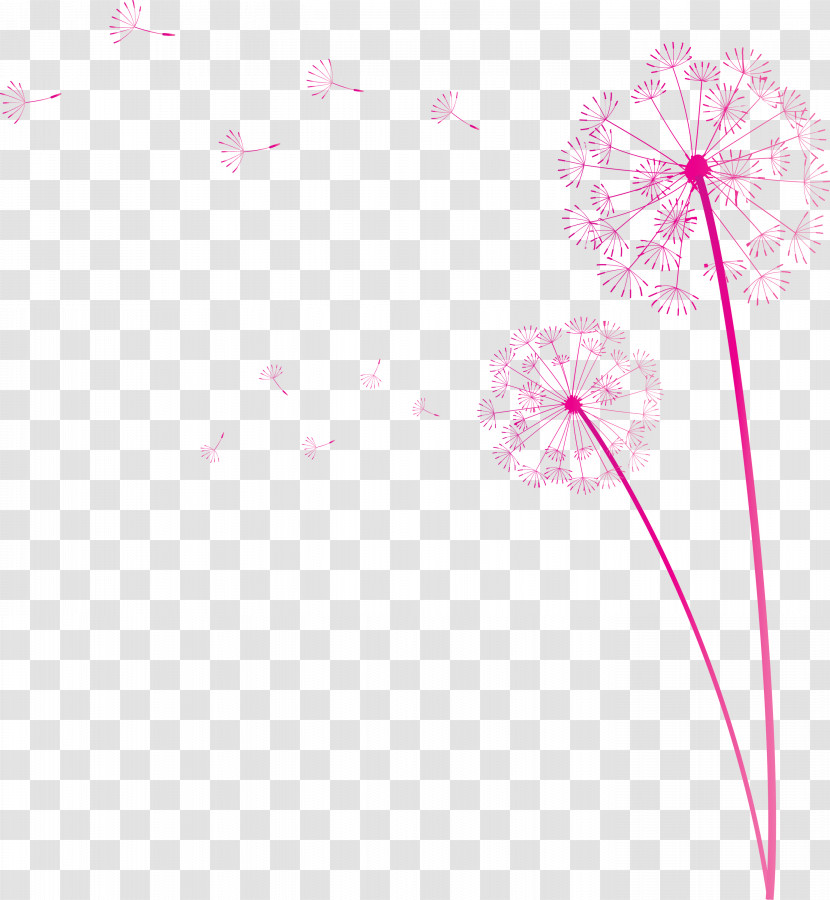 Dandelion Transparent PNG