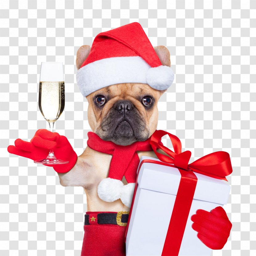 Dog Santa Claus Puppy Christmas Card - Non Sporting Group Transparent PNG