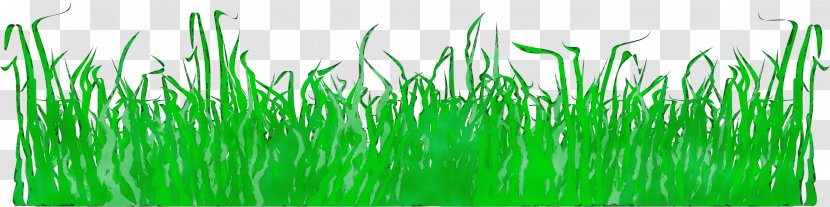 Green Grass Background - Paint - Family Transparent PNG