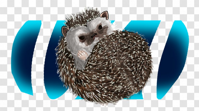 Domesticated Hedgehog Porcupine Fauna Domestication Transparent PNG