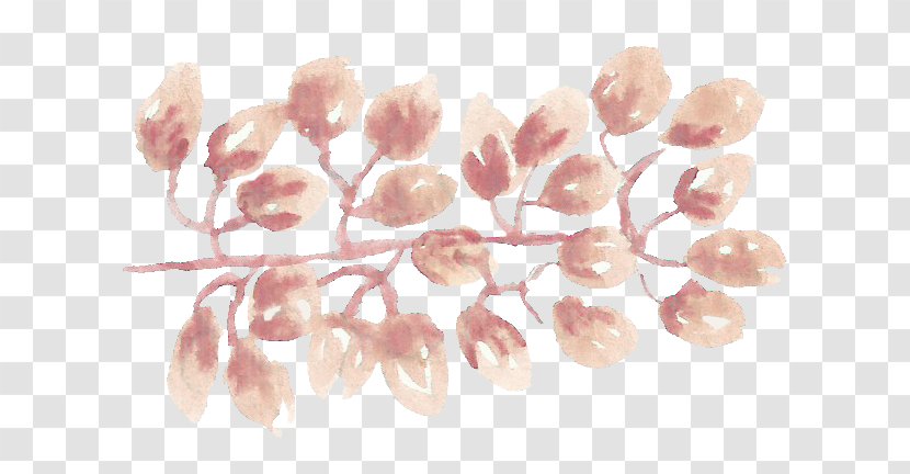 Petal Jewelry Design Jewellery - Pink Flowers Transparent PNG