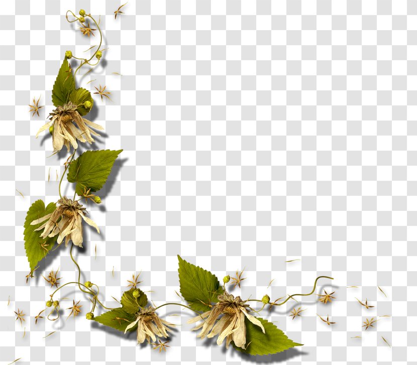 Picture Frame Clip Art - Flower - Floral Corners Decorated Transparent PNG