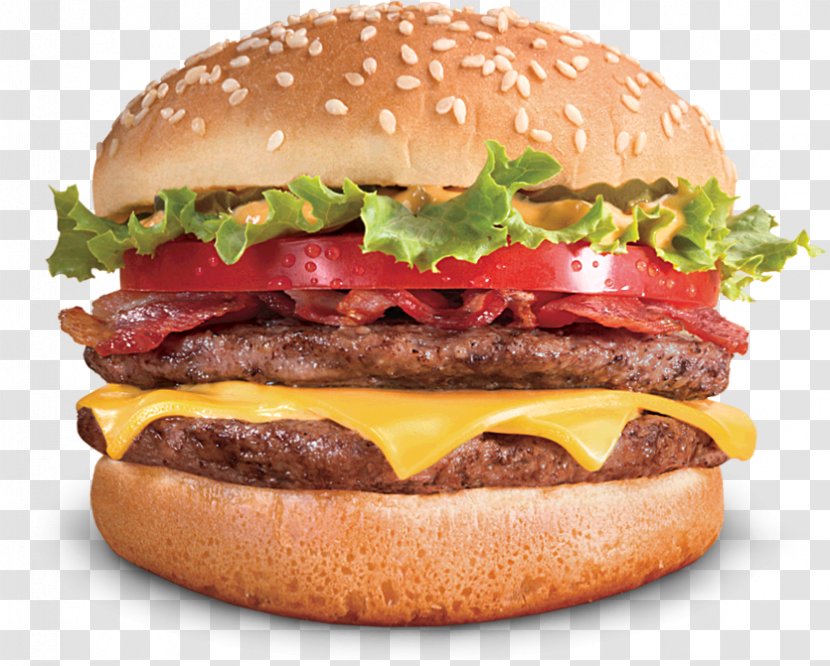 Hamburger Cheeseburger French Fries Kebab Chicken Fingers - Fried Food - Burger Menu Best Transparent PNG