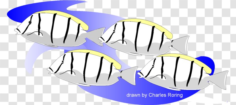 Shoe IPhone 5c Clip Art - Fish - Raja Ampat Transparent PNG