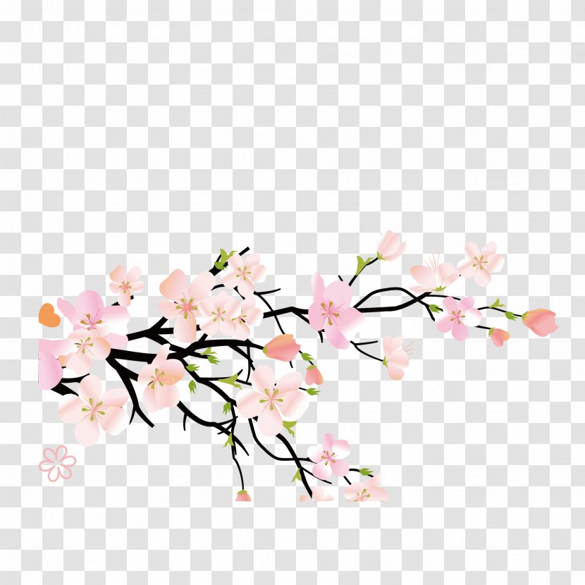 U0e41u0e1bu0e23u0e23u0e39u0e1bu0e2au0e21u0e38u0e19u0e44u0e1eu0e23u0e1eu0e37u0e49u0e19u0e1au0e49u0e32u0e19u0e19u0e32u0e42u0e1eu0e18u0e34u0e4c Plum Blossom Peach Herb Fruit - Petal - Vector Pink Japanese Cherry Blossoms Transparent PNG