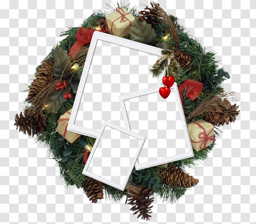 Christmas Decoration Garland Advent - Conifer - Winter Transparent PNG