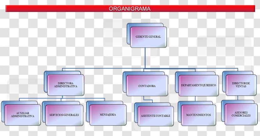 Organizational Chart Real Estate Empresa Business Administration Structure - Vision Transparent PNG
