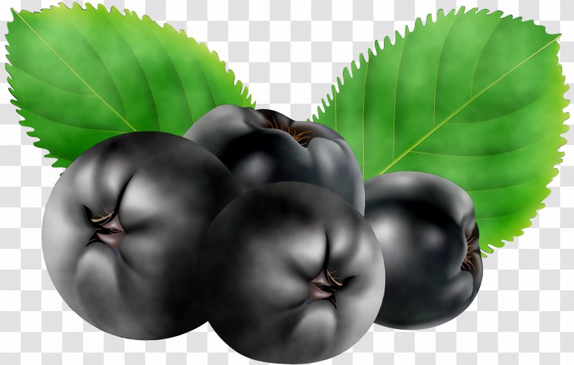 Bilberry Superfood Natural Foods Leaf - Food Transparent PNG