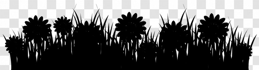 Tree Desktop Wallpaper Silhouette Computer Grasses - Forest - Darkness Transparent PNG