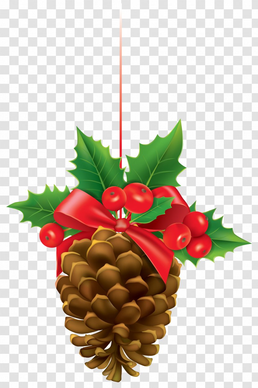 Mistletoe Clip Art - Conifer - Christmas Pinecone With Clipart Image Transparent PNG