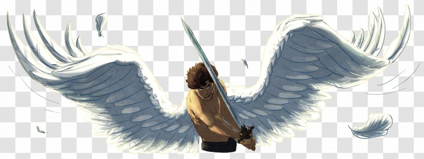 Bird Feather Angelfall Wing Beak - Animal - Angel Wings Transparent PNG