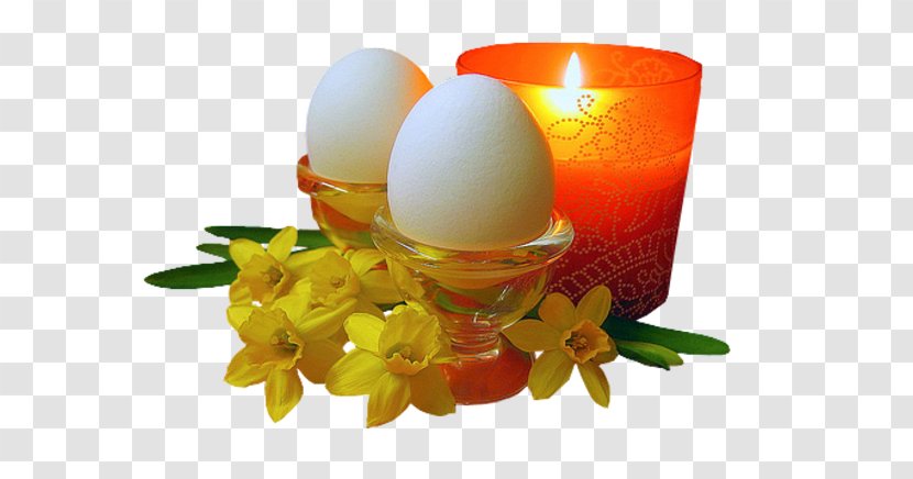 Easter Bunny Holiday Egg - Kwanzaa Transparent PNG