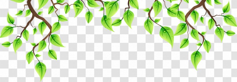 Green Leaf Background - Leaflet - Flower Plant Stem Transparent PNG