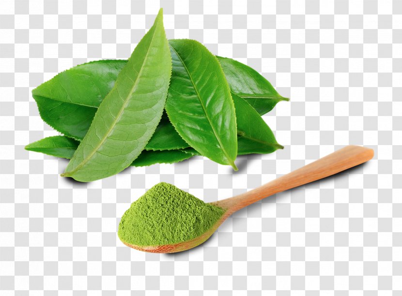 Green Tea Matcha Goji Berry - Powder Transparent PNG