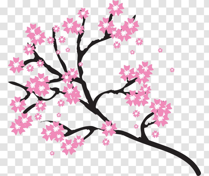 Cherry Blossom Drawing Clip Art - Flora - BLOSSOM Transparent PNG