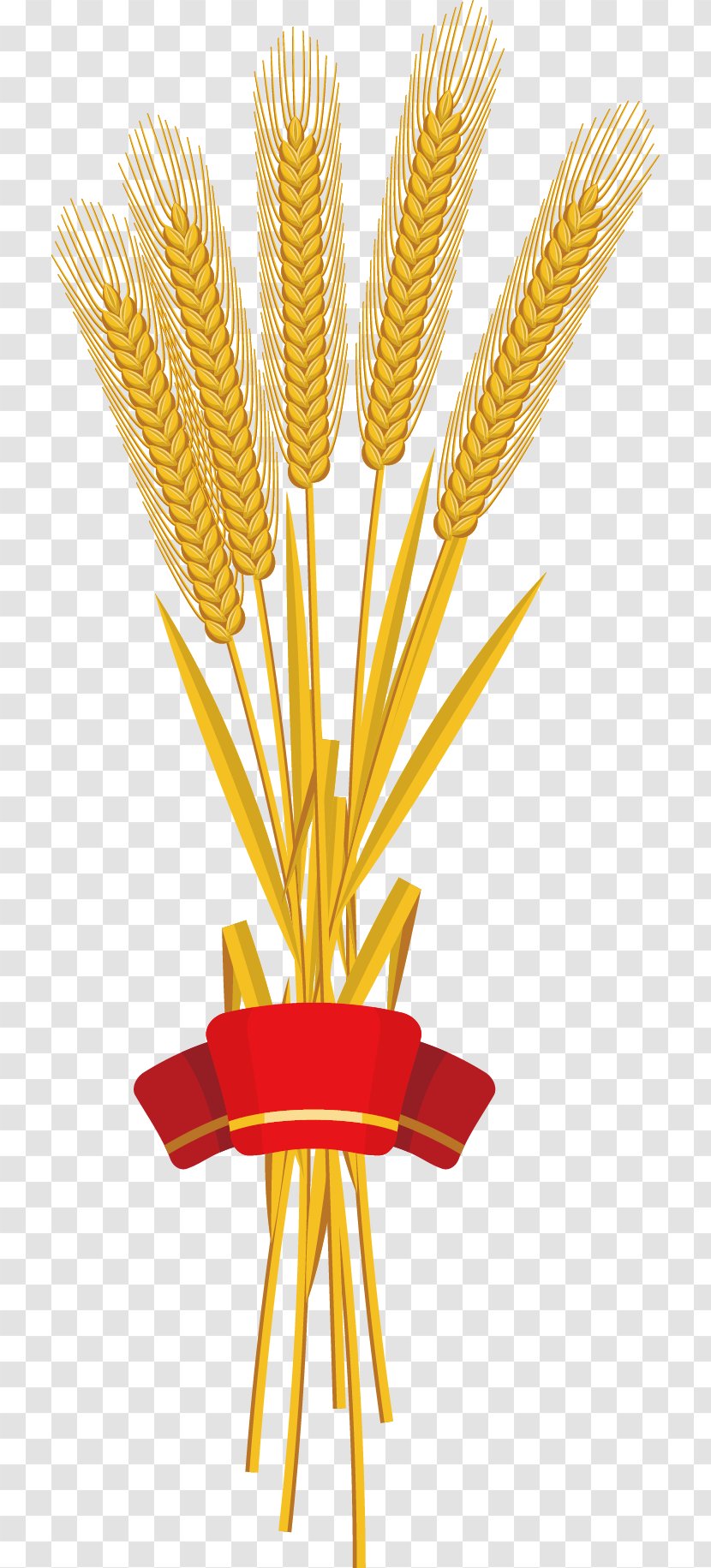 Red Ribbon Wheat - Commodity - Harvest Transparent PNG