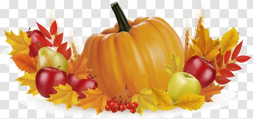 Thanksgiving Fruit Pumpkin Illustration - Holiday - Yellow Transparent PNG