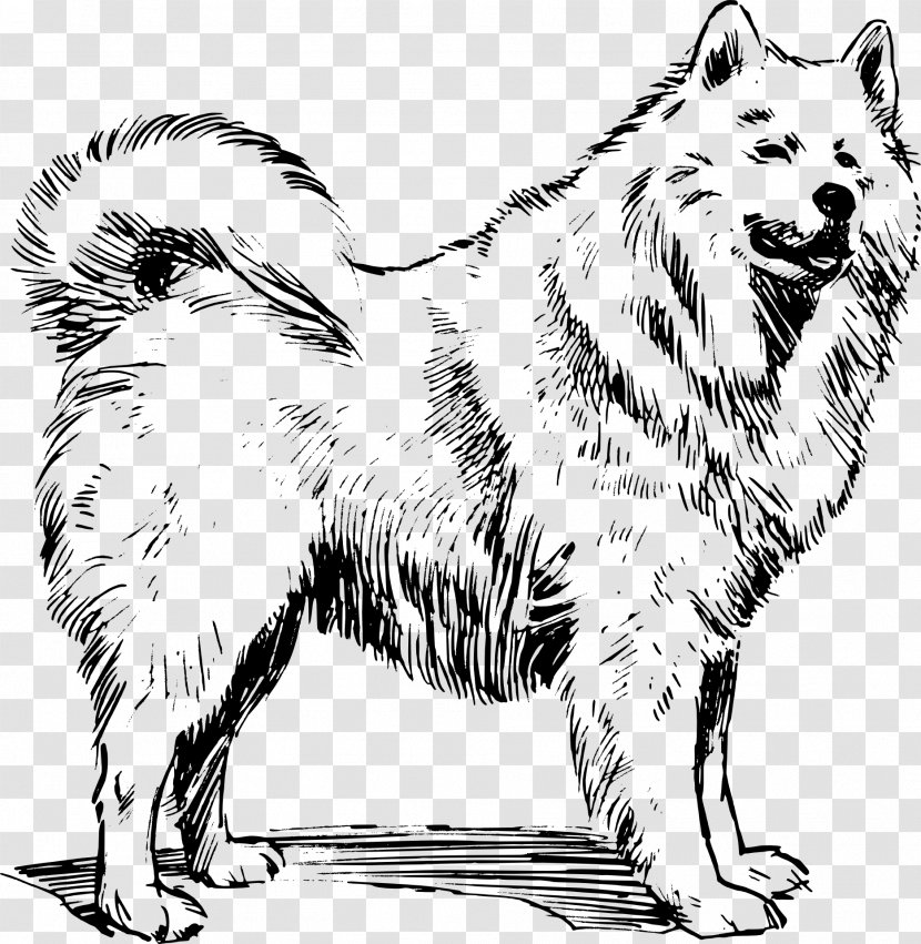 Samoyed Dog English Cocker Spaniel American Eskimo Animal Illustrations Clip Art - Like Mammal - Monochrome Photography Transparent PNG