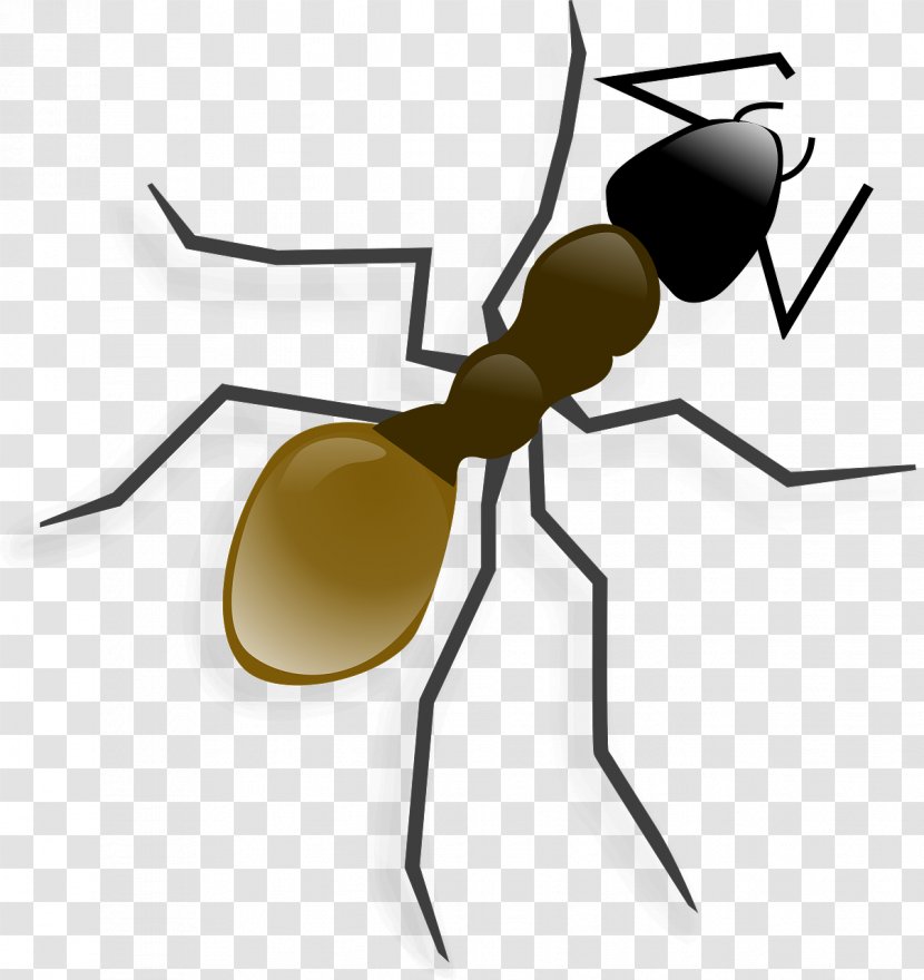 Ant Clip Art - Insect Transparent PNG