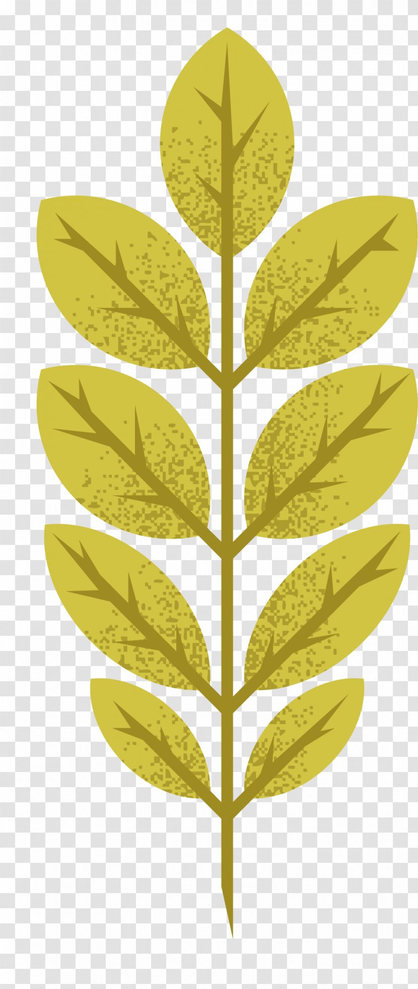 Maple Leaf Autumn - Green - Leaves Collection Vector Material Transparent PNG