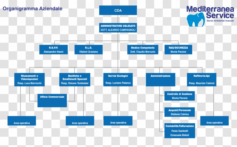 Organizational Chart Business Azienda Industry - Diagram Transparent PNG
