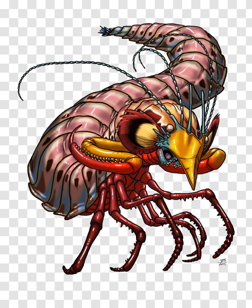 Lobster Insect Dragon Cartoon - Organism - Mantis Shrimp Transparent PNG