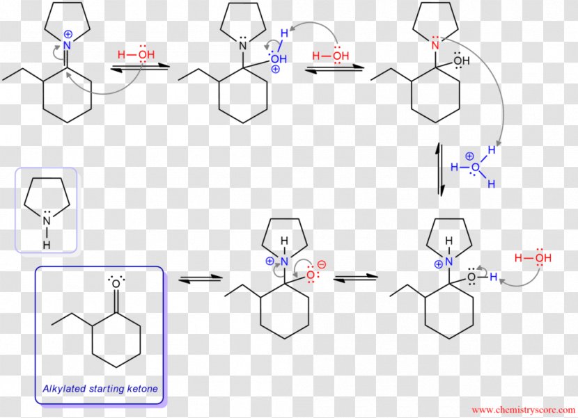 Stork Enamine Alkylation Acylation Ketone - Frame - Pyrrolidine Transparent PNG