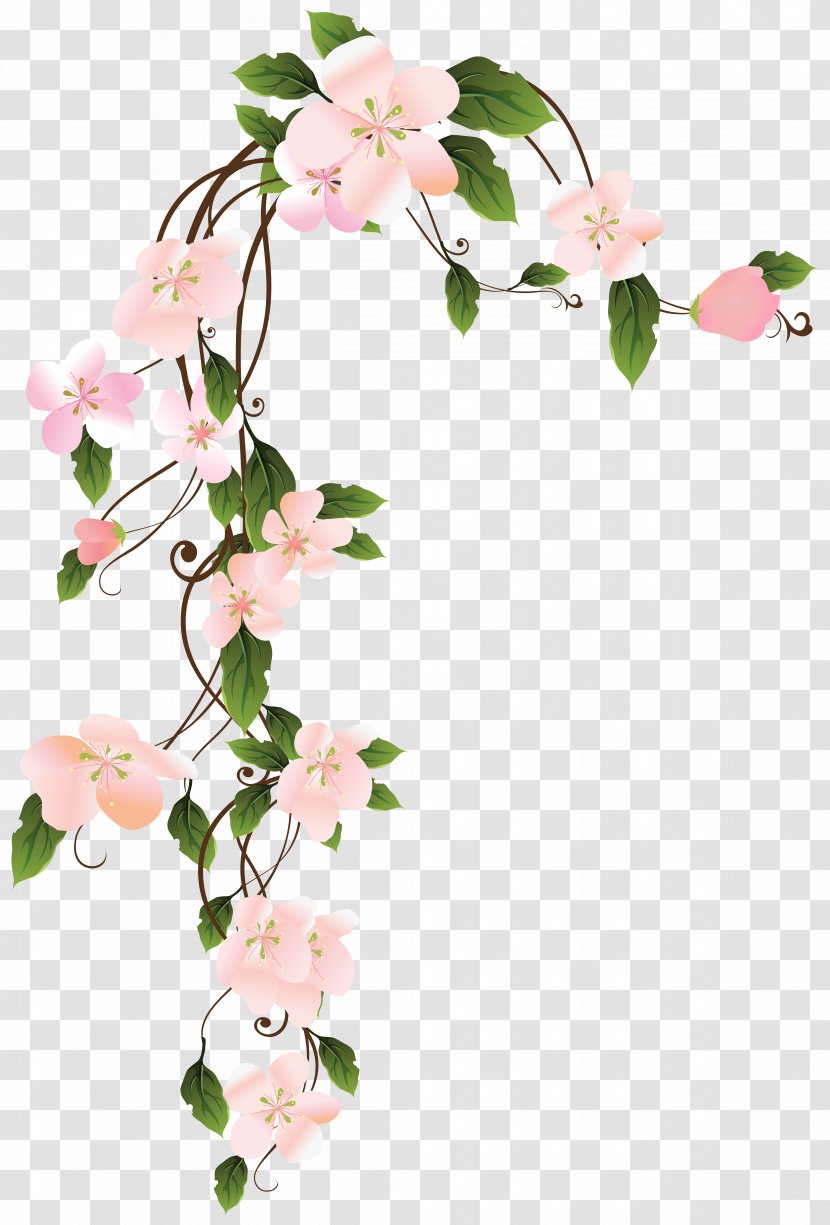 Flower Borders And Frames Clip Art - Plant - Painting Transparent PNG