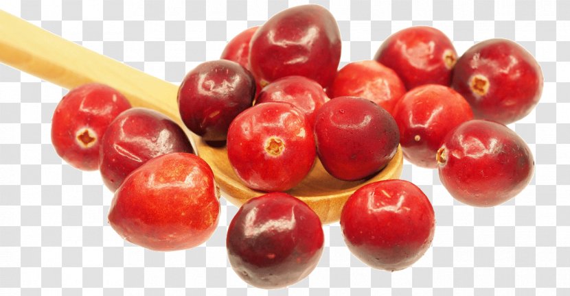 Cranberry Juice Sauce Salsa Food - Urinary Tract Infection - Cherry Transparent PNG