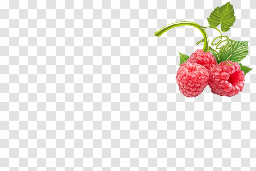 Red Raspberry Fruit Strawberry - Frutti Di Bosco - And Transparent PNG