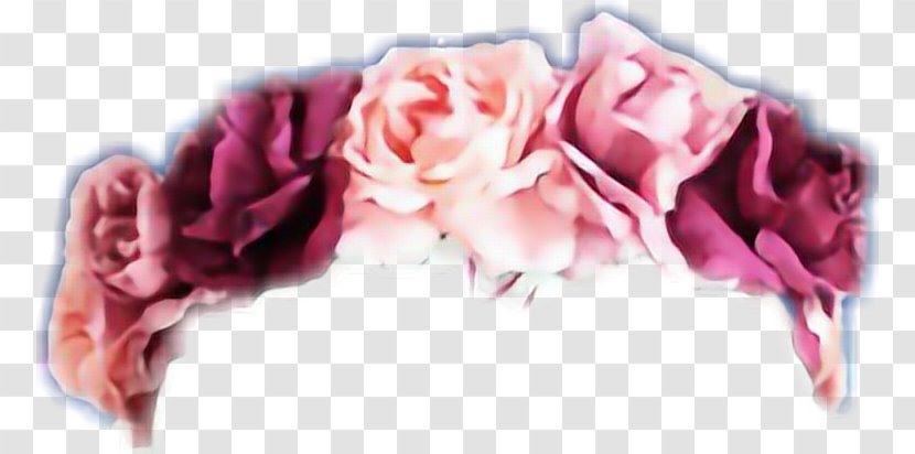 Garden Roses GIF Flower Desktop Wallpaper Wreath - Magenta Transparent PNG