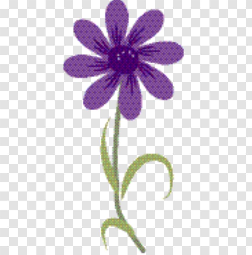 Chamomile Flower - Violaceae - Wildflower Transparent PNG