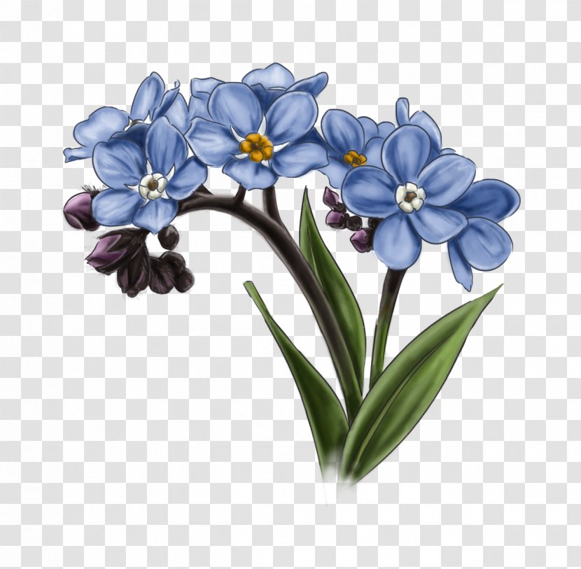 Alaska Cut Flowers Arctic Fox Floral Design - Herbaceous Plant - Forget Me Not Transparent PNG