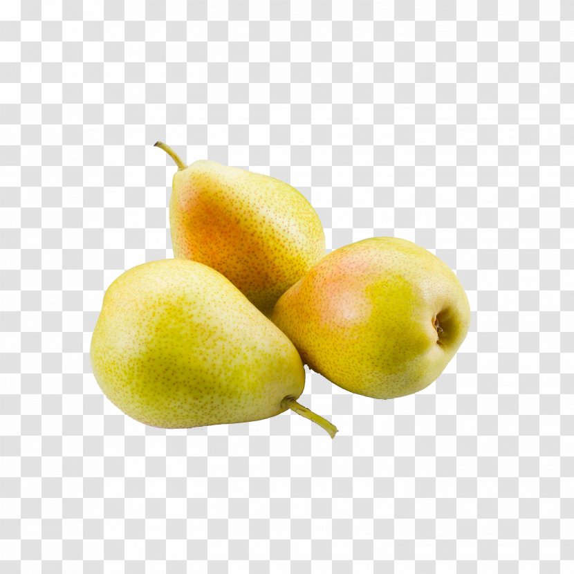 Pyrus Nivalis European Pear Xd7 Bretschneideri Auglis Fruit - Vitamin C Transparent PNG